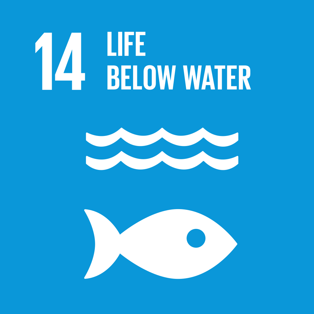 SDG 13 GIF